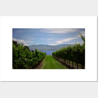 The Okanagan Lake and Grape Vines Posters and Art